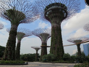 Gardens by the bay